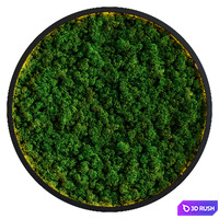 Moss wall