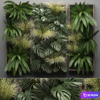 Vertical garden 28. Phytowall, picture, grass, fern, monstera, wall decor, phytomodule, vertical garden