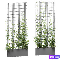 Ivy on the grid v3