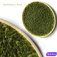 Mosswall disk 2