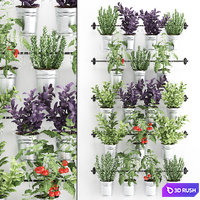Vertical gardening. 33. Kitchen garden, vegetable garden, vegetables, herbs, tomatoes, rosemary, basil, railing, phytowall, phytomodule