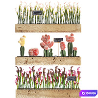 thumb image