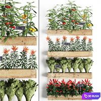 Vertical gardening in wooden wall boxes pots with kitchen garden, vegetable garden, vegetables, herbs, peppers, tomatoes, tomatoes, lettuce. Set 45.