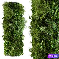 Vertical Garden - Column Plants