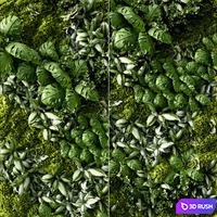 thumb image