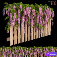 Wisterial plant 18