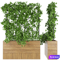 Collection plant vol 102