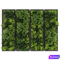 Vertical garden148