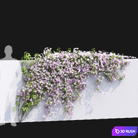 thumb image