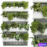 Collection Indoor outdoor fitowall plant plant stairs stand metal vase 11