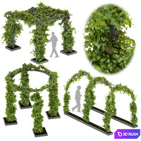 Collection plant vol 269 -Fitowall - garden - ertical