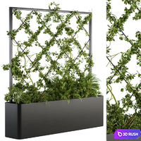 Vertical Garden - Outdoor Green Wall 39