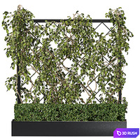 Vertical Garden - Planter with trellis