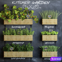 Kitchen garden 3