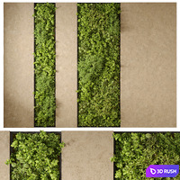 Vertical Garden 02
