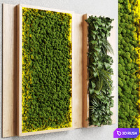 Wall garden and vertical moss in wooden frame 22