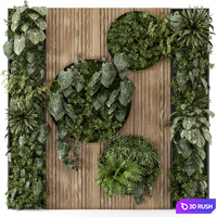 Indoor Wall Vertical Garden in Wooden Base - Set 1076