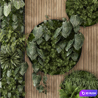 thumb image