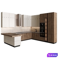 Kitchen in modern style 09