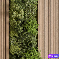 thumb image