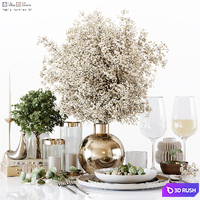 Table Setting 10