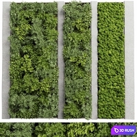 Concrete frame Vertical garden plant and moss garden wall decor box 66