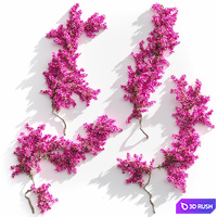 Bougainvillea for walls. 4 models