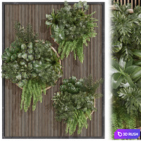 Fitowall garden plants set 23
