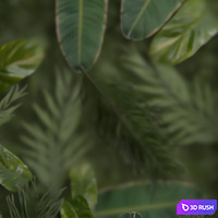 thumb image