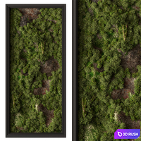 Vertical Garden Set 131