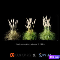 Selloanas Cortaderas Medium