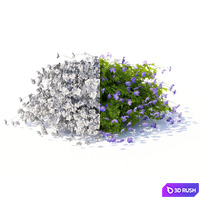 thumb image