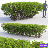 thumb image