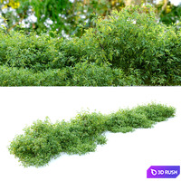 thumb image