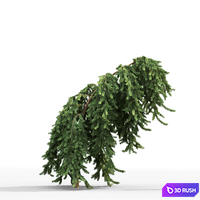 thumb image