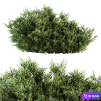 Needle Leaf Bush - Bush Set 26