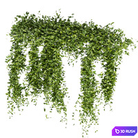 thumb image
