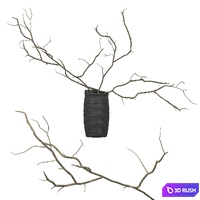 Branches in a vase