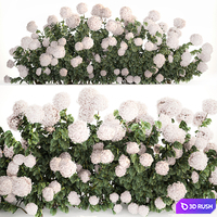 Beautiful bush white hydrangea with flowers for the garden, hedge. Plant set 1185