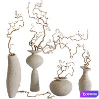 Branches and vases set