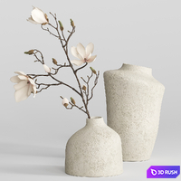 H&M vases with magnolia branch