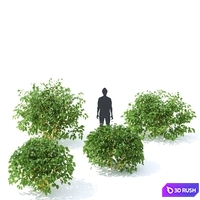 thumb image