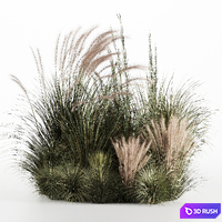 Bush-Bush Dried and Fresh set-05