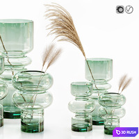H&M glass vases with dried flower pampas grass