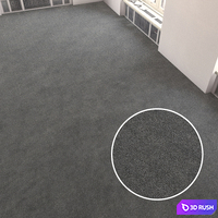 Carpet covering 118