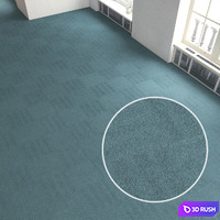 Carpet covering 209
