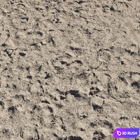 Sand beach_5