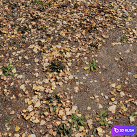 Leaf_Earth 3