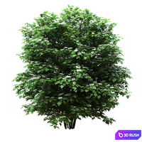 thumb image