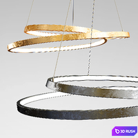 Ring Pendant Light - Gold and Black